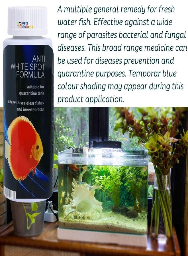 VAYINATO Aquatic Remedies 5 in 1 Must Have Flower Horn Fish Care Mini Combo by Petzlifeworld - Image 3